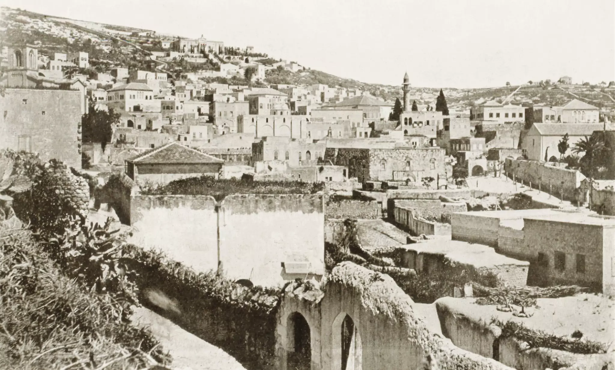 Jaffa